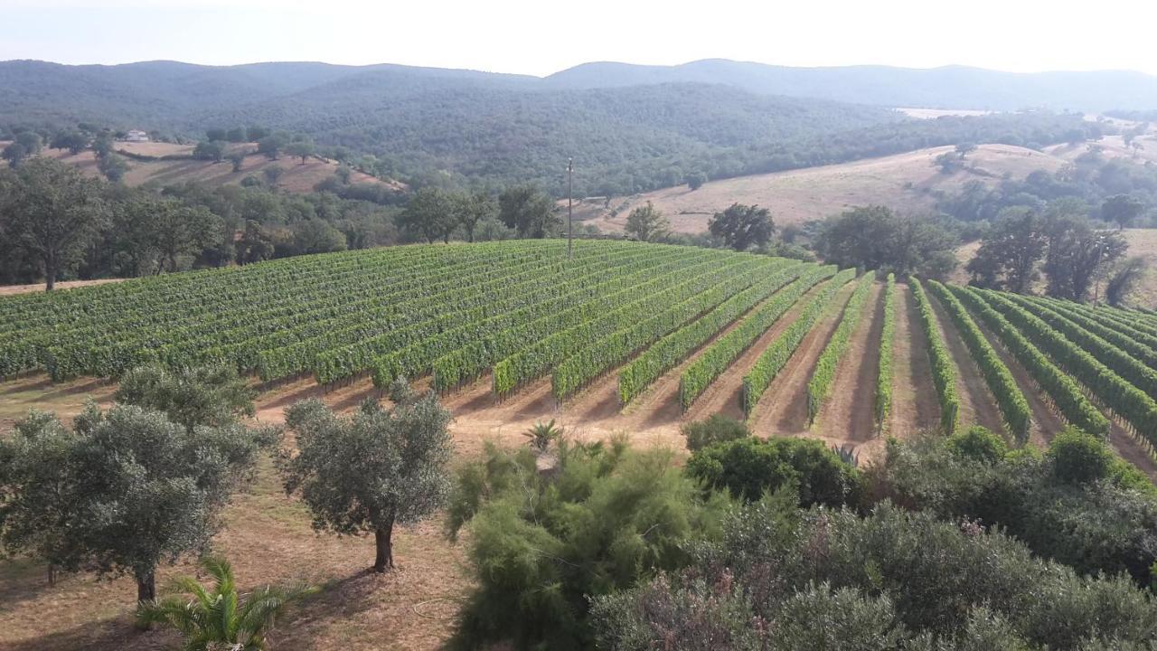 Podere Belvedere Villa Classic Tuscan Magliano in Toscana Zewnętrze zdjęcie
