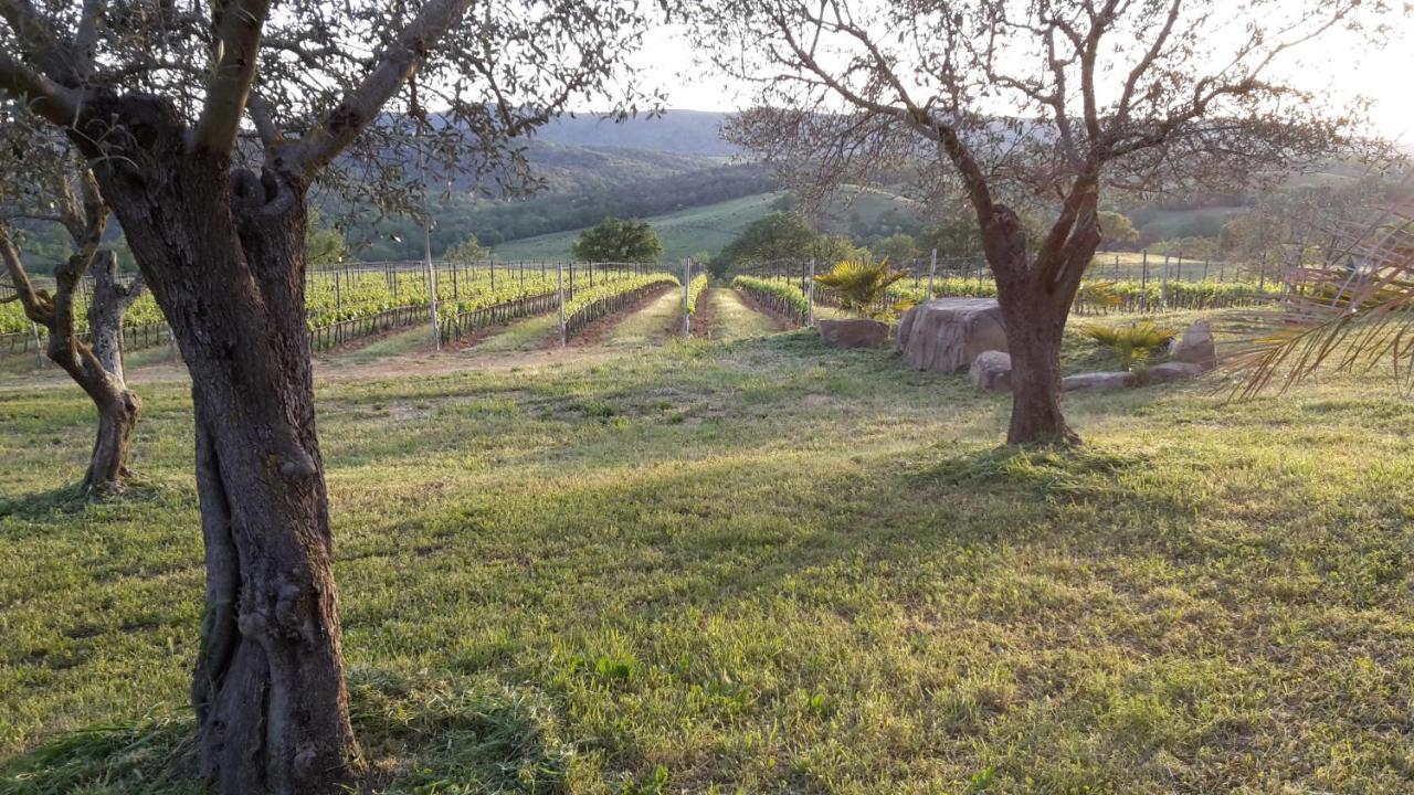 Podere Belvedere Villa Classic Tuscan Magliano in Toscana Zewnętrze zdjęcie