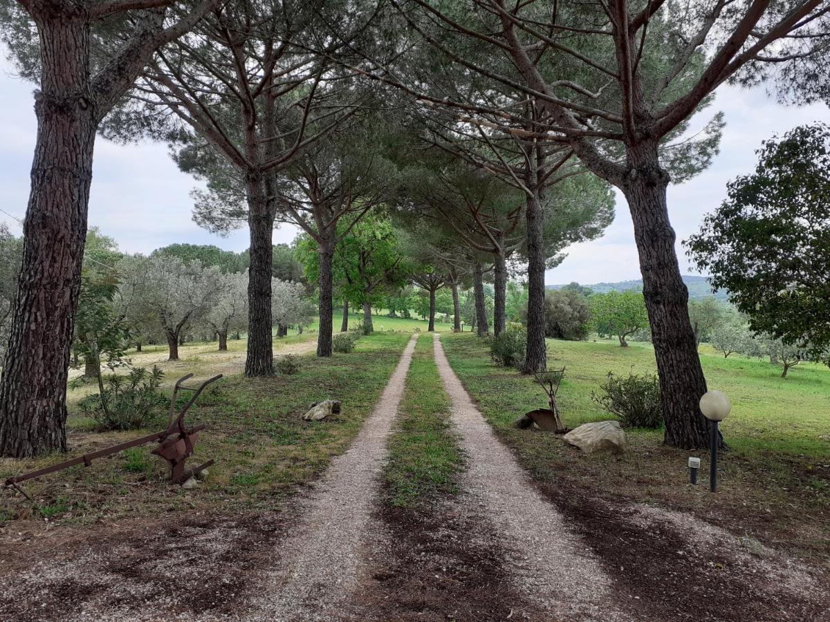 Podere Belvedere Villa Classic Tuscan Magliano in Toscana Zewnętrze zdjęcie