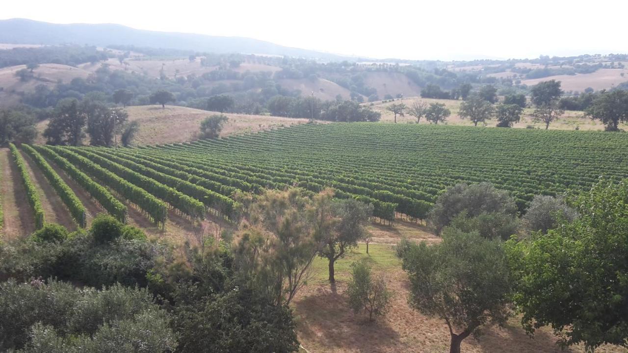 Podere Belvedere Villa Classic Tuscan Magliano in Toscana Zewnętrze zdjęcie