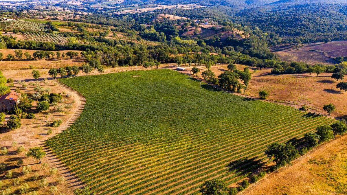 Podere Belvedere Villa Classic Tuscan Magliano in Toscana Zewnętrze zdjęcie