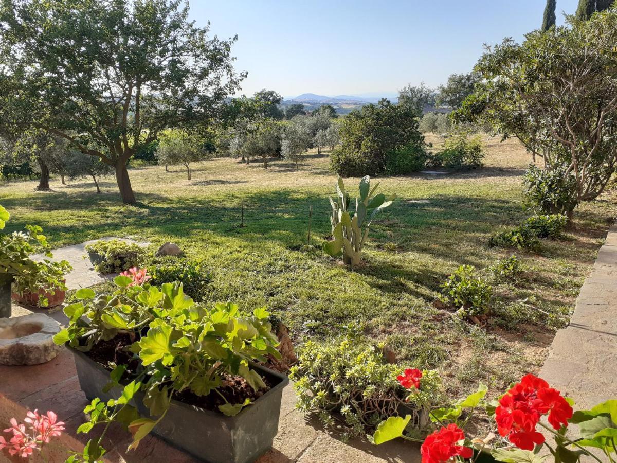 Podere Belvedere Villa Classic Tuscan Magliano in Toscana Zewnętrze zdjęcie