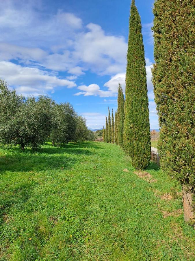 Podere Belvedere Villa Classic Tuscan Magliano in Toscana Zewnętrze zdjęcie