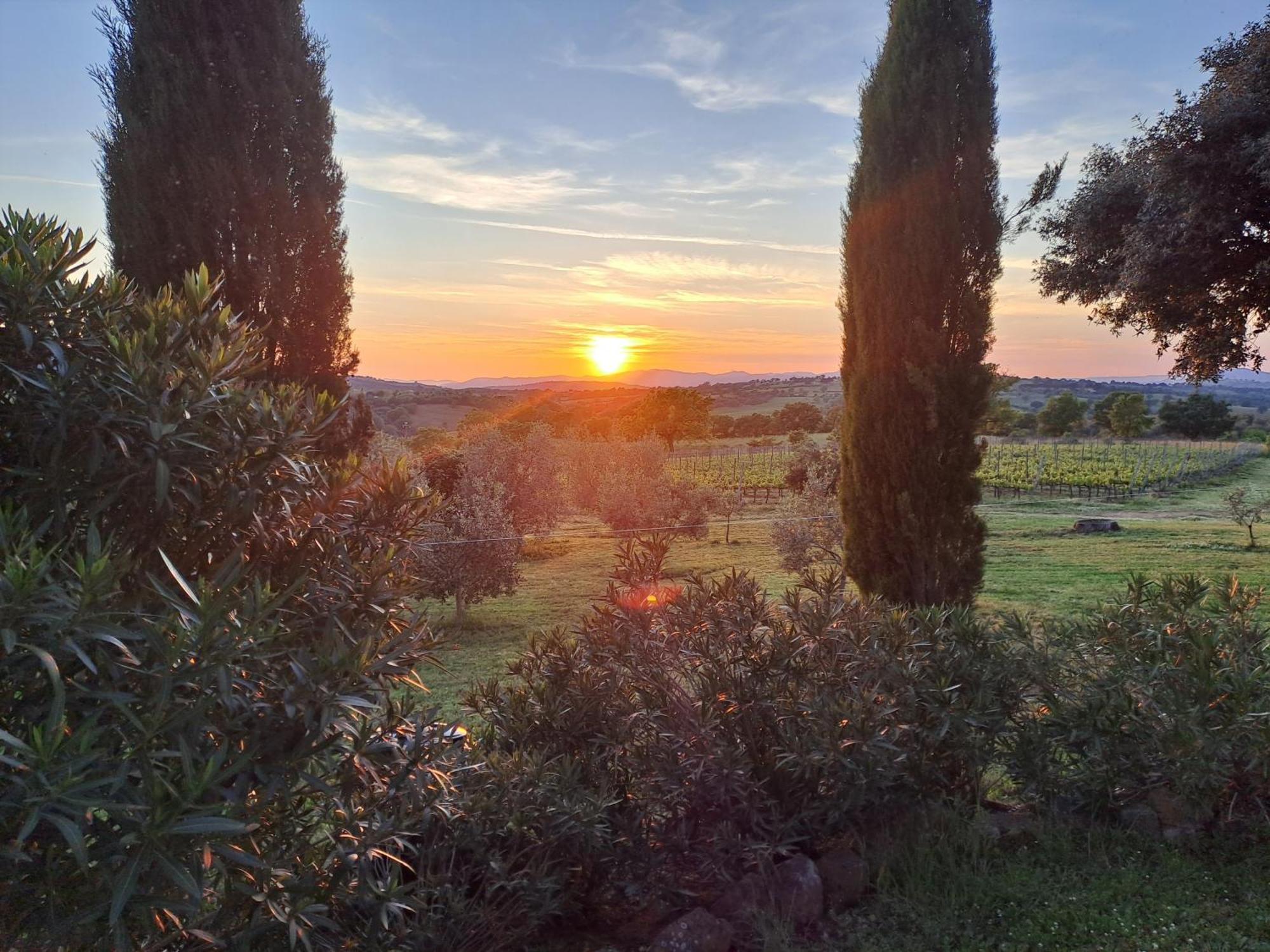 Podere Belvedere Villa Classic Tuscan Magliano in Toscana Zewnętrze zdjęcie