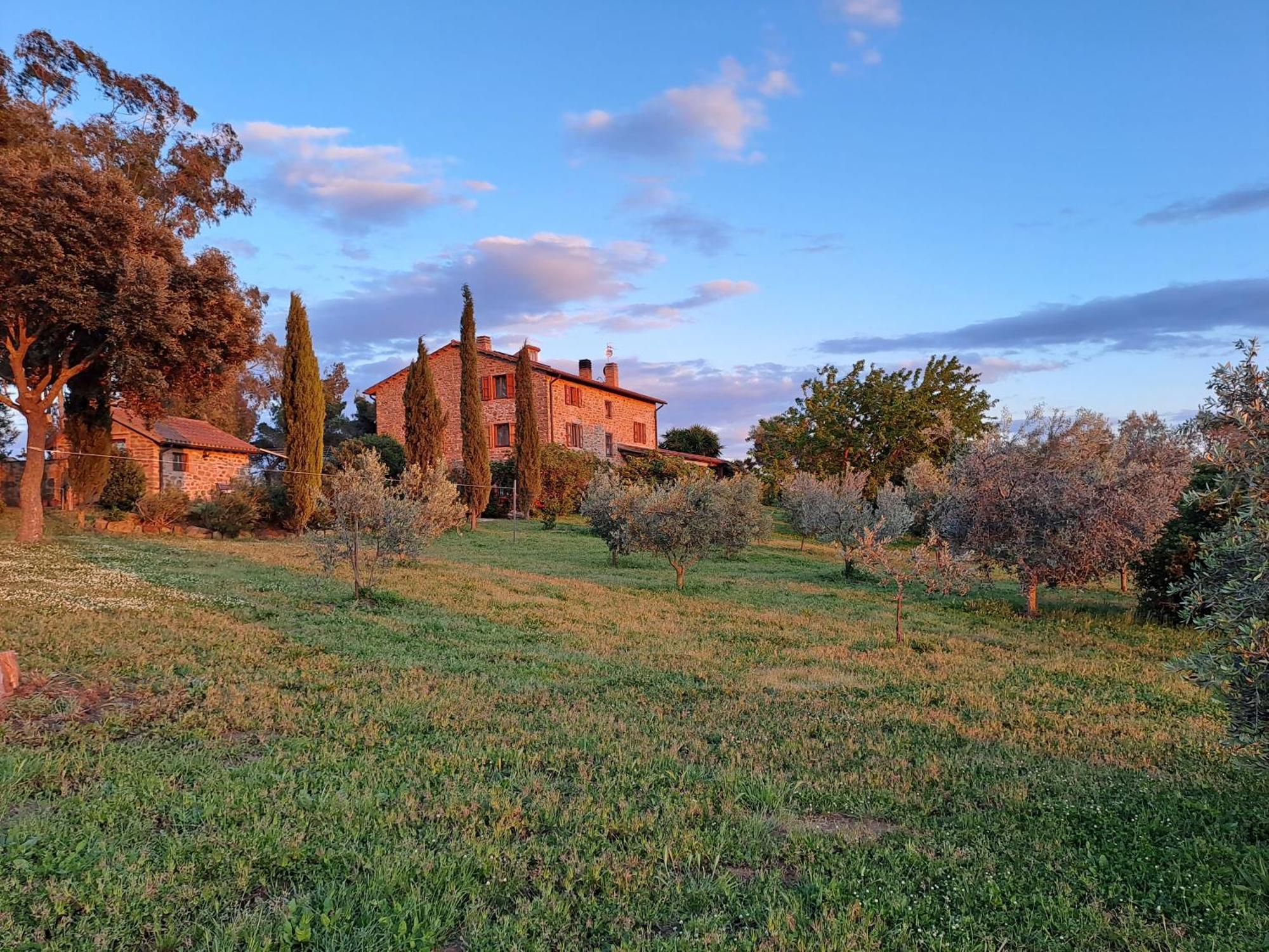 Podere Belvedere Villa Classic Tuscan Magliano in Toscana Zewnętrze zdjęcie